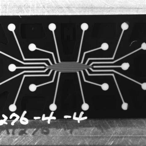 Photograph Of A Microfluidic Device Download Scientific Diagram