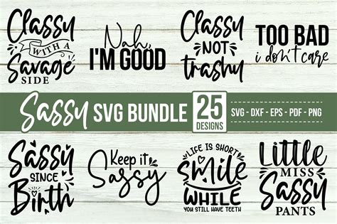 Sassy Svg Bundle 25 Sassy Designs Creative Market