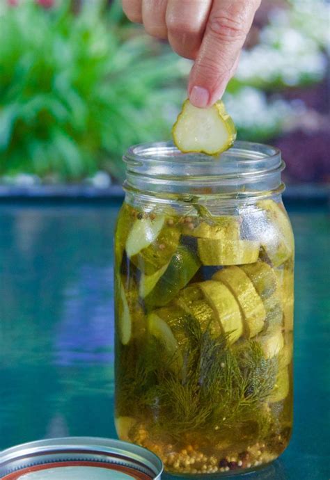 Maybe you would like to learn more about one of these? Easy Jalapeño Garlic Dill Refrigerator Pickles (no canning ...