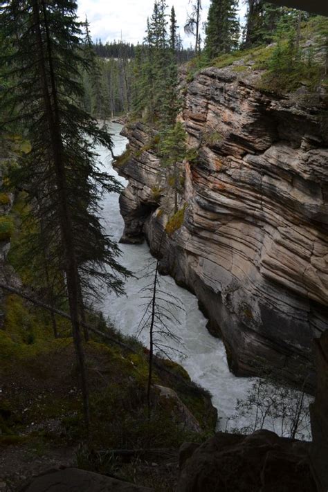 Athabasca Alberta 2024 All You Need To Know Before You Go Tripadvisor