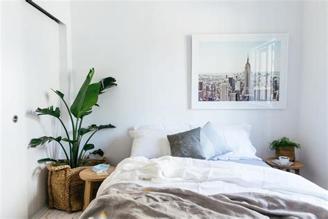 Contenido 2 decoración con plantas colgantes 8 cuadro con plantas suculentas Feng Shui 101: How to maximise Qi flow in the bedroom