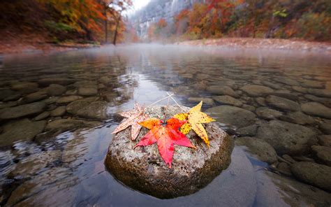 Leaves River Rocks Stones Autumn Wallpaper 1766x1104 172045