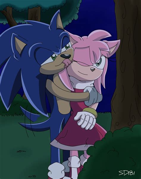 amy rose sonic x sonamy images and photos finder