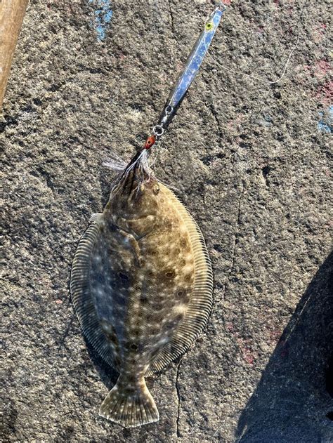 Caught Tagged And Released 2 Species Of Flounder Went Fishing 🎣 On