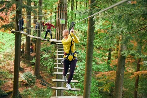 Go Ape Grizedale Day Out With The Kids