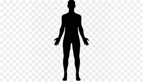 Human Body Homo Sapiens Silhouette Clip Art Human Png Download 512