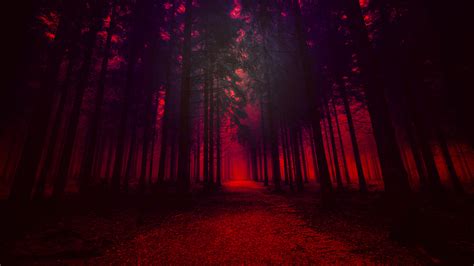 Artistic Red Forest Hd Nature 4k Wallpapers Images Backgrounds Photos And Pictures
