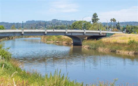 The san lorenzo river watershed drains 138 square miles (360 km2). San Lorenzo River Action Projects Guide - Coastal ...