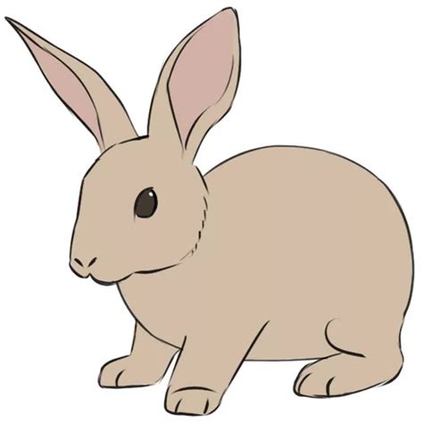 How To Draw A Rabbit Easy Drawing Art
