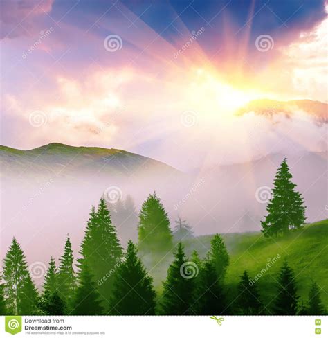 Beautiful Summer Landscape Stock Photo Image Of Europe