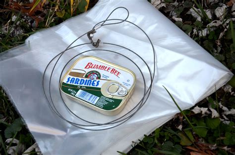 A Guide To The 15 Best Survival Traps Of All Time Outdoor Life
