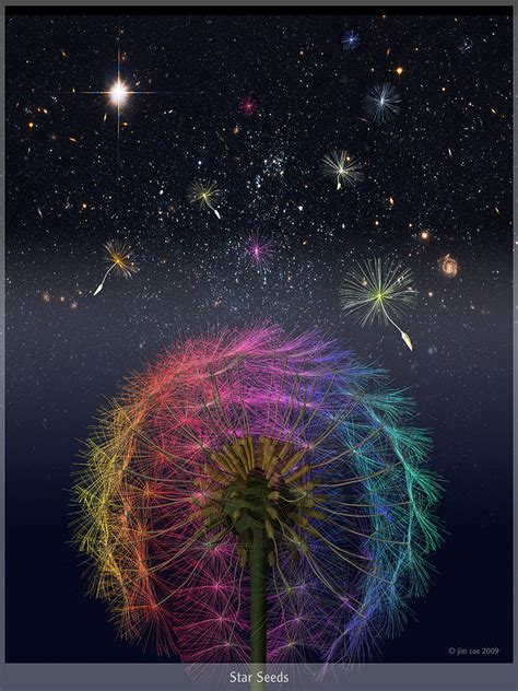 Star Seeds Digital Art By Jim Coe Fine Art America
