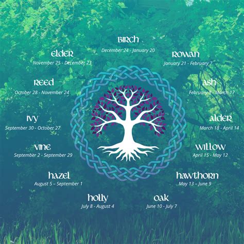 Celtic Tree Astrology Symbols