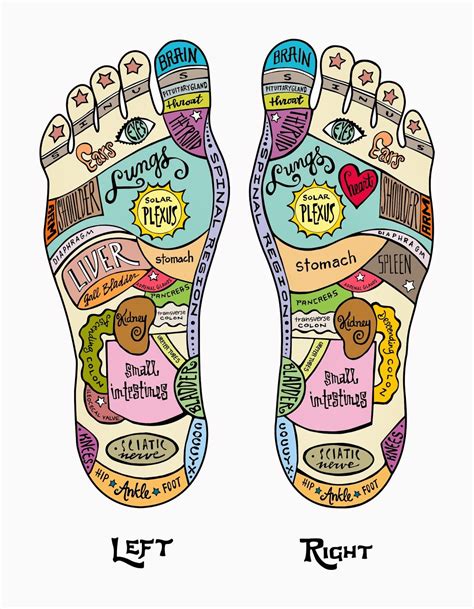 Reflexology Foot Chart For Beginners Hands Feet And Ears Which