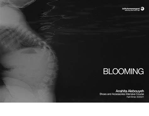 Blooming On Behance