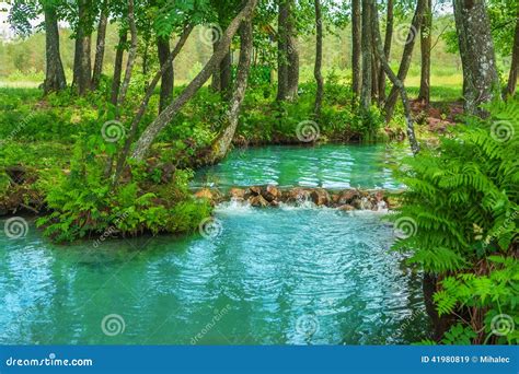 On Forest River Source Stock Image Image Of Scenics 41980819