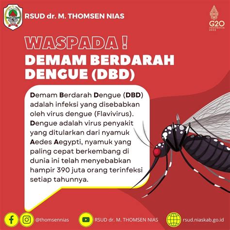 Waspada Demam Berdarah Dengue Dbd Rsud Dr M Thomsen Nias