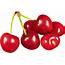Download Red Cherry Png Image HQ PNG  FreePNGImg