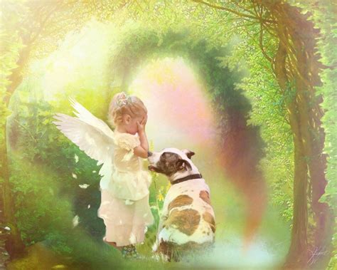 Pitbull Rainbow Bridge Dog Heaven Rescue Dogs Angel Digital Art Digital