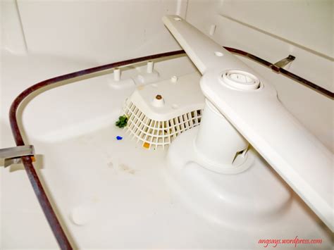 Anyway the grinders in dws are lame, and also add noise. 20 Minutes or Less Dishwasher CleaningAngela Says