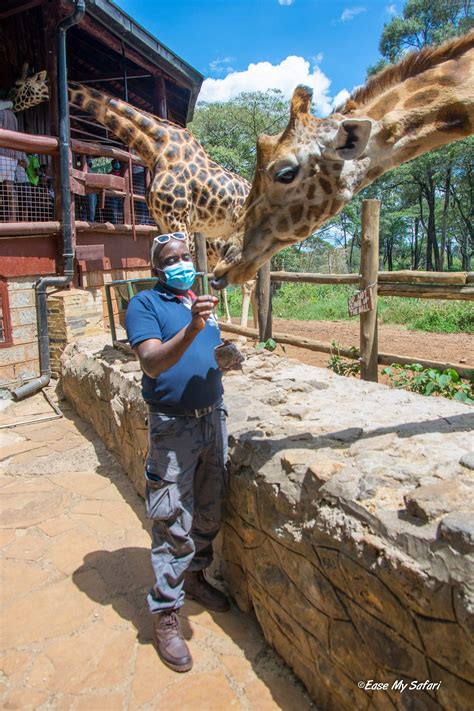 Nairobi National Park Giraffe Centre And Bomas Of Kenya Excursion Ease