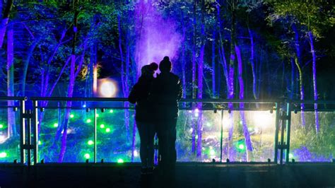 Enchanted Forest Back In Pitlochry For The First Time Since The Covid