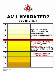 Dehydration Can Be Detected Using Color You Just Need To See The