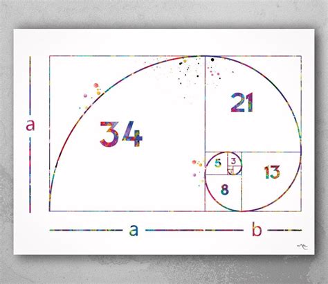 Fibonacci Spiral Watercolor Print Fibonacci Sequence Numbers Golden