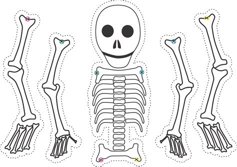 Dry Bones Skeleton Puppet Template For Ezekiel My Childrens