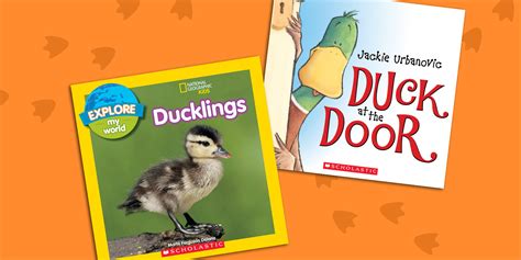 Duck Books Students Absolutely Love
