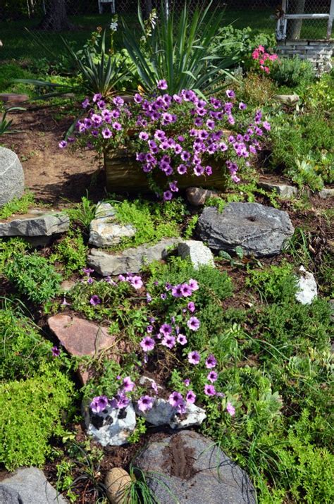 We did not find results for: How to Build Your Own Rain Garden to Filter Runoff?