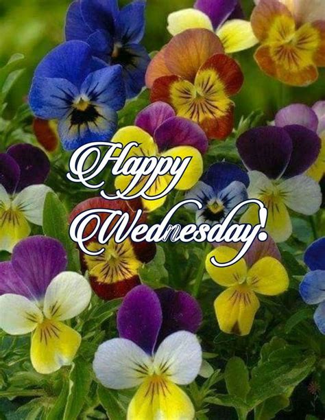 Wednesday Wednesday Greetings Good Morning Wednesday Happy Day Quotes