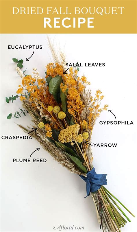 5 stamens, the upper 3 with yellow hairs on stalks. Dried Flower Fall Bouquet Recipe for DIY Wedding Bouquets ...