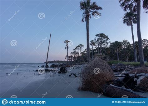 Scenes Around Hunting Island South Carolina In Summer Stock Image