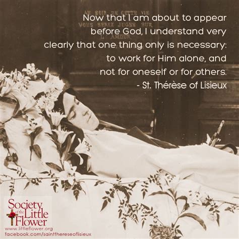 St Therese Daily Inspiration Work For Him Alone Saint Quotes Catholic Catholic Religion