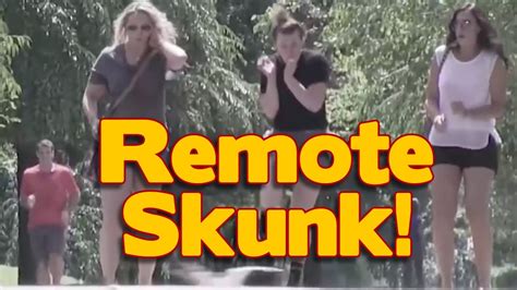 Remote Control Skunk Prank Youtube