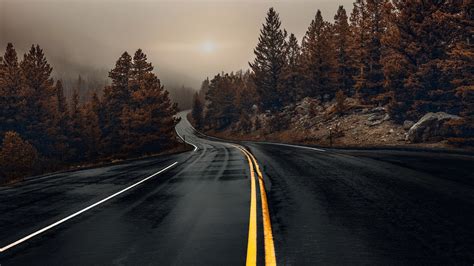 Fondos De Pantalla Carretera Mojada árboles Niebla Mañana Otoño