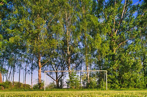 Soccer Field Football Field Soccer Goal Stock Photo Download Image
