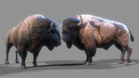 American Steppe Bison 3d Model By Mikserart