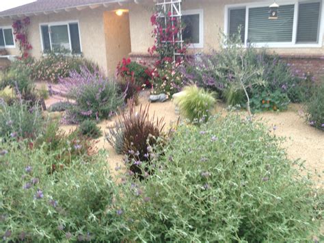 Xeriscape Front Yard Love Xeriscape Xeriscape Front Yard Front Yard