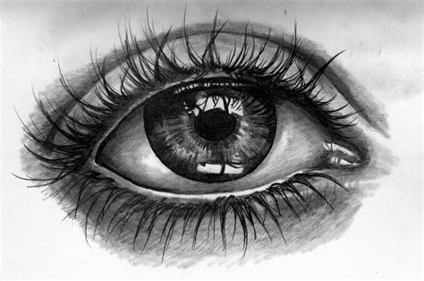 Pin By Robert Scott On Inspirational Art Realistic Eye Tattoo Eye