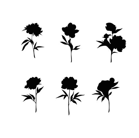 Peony Silhouette