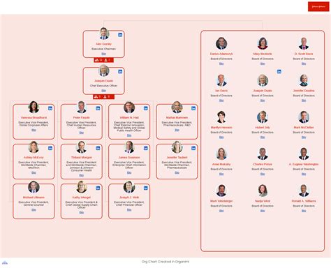 Johnson Johnson Executive Chart Editable Organizational Chart My Xxx