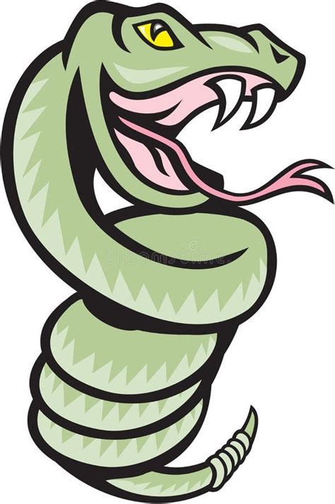 Rattle Snake Coiling Up Cartoon Stock Illustration Illustration Of Isoalted Artwork
