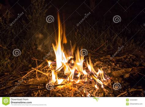 Bonfire In The Night Forest Stock Image Image Of Fuel Balefire