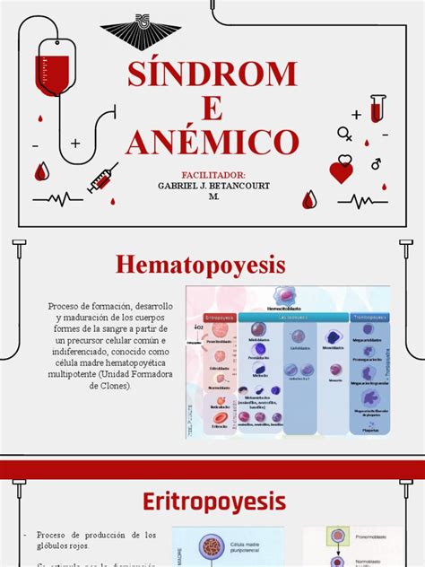 Sindrome Anemico Pdf Anemia Tejido Biología