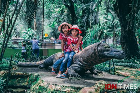 31 Potret Kebun Binatang Surabaya