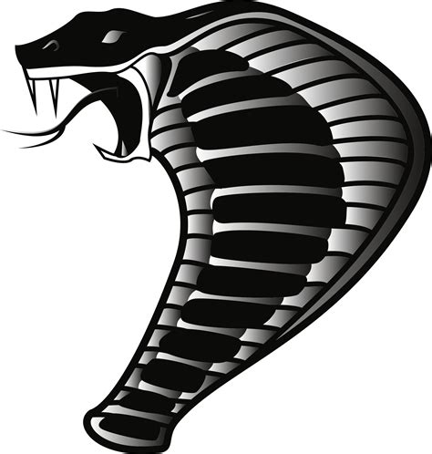 Vector Snake Logo Png Snake Drawing