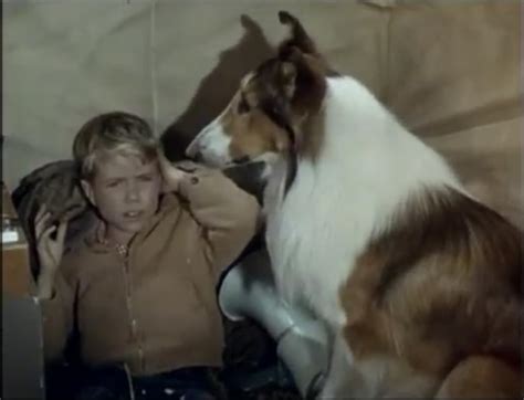 Lassie The Journey Part 1 Tv Episode 1963 Imdb