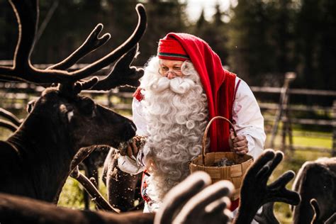 santa claus feeding reindeer visit rovaniemi lapland finland lapland welcome in finland